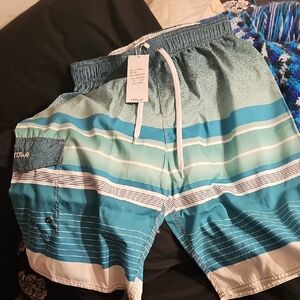Rogue Men's Teal and White Swim Shorts